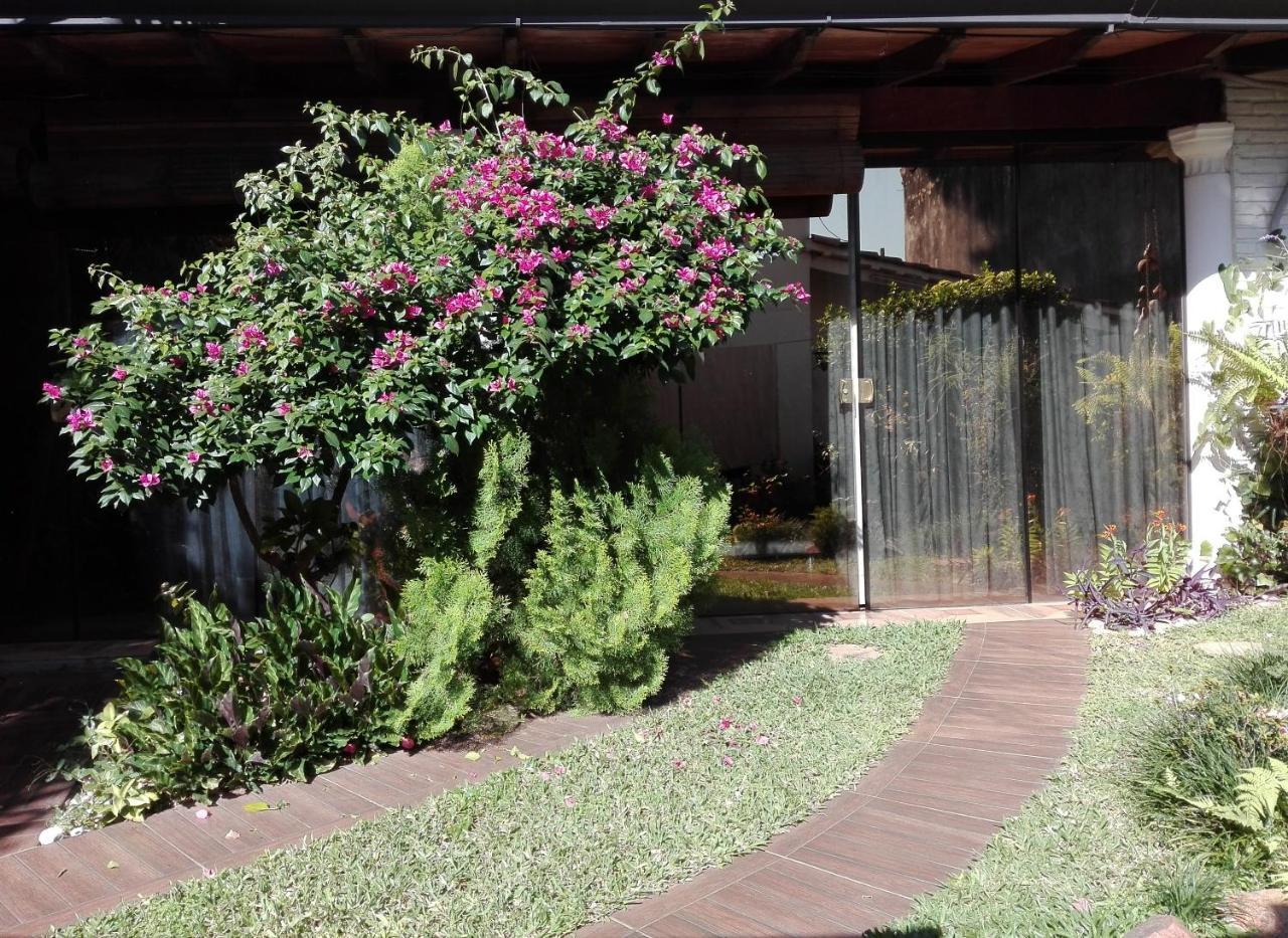 Bed and Breakfast Granados Asunción Exterior foto